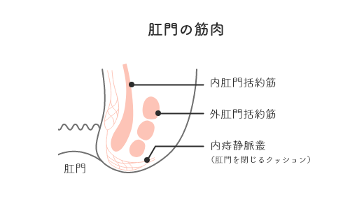 痔の種類